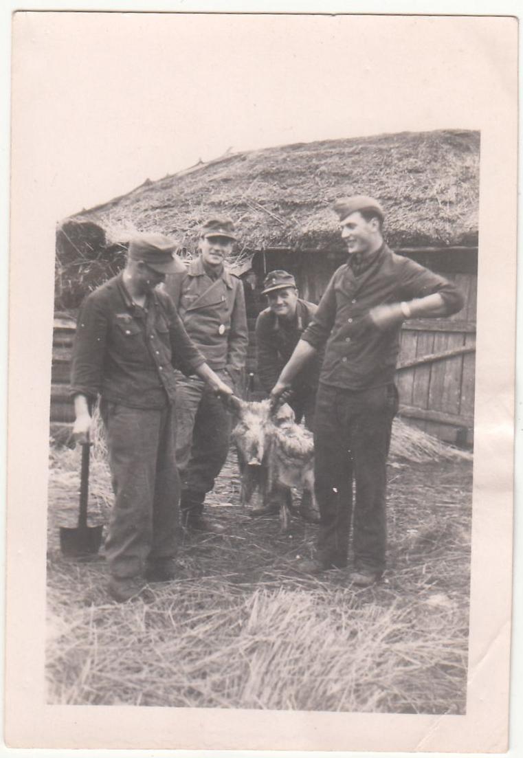 F Orig Foto Deutsche Soldaten An Scheune Mit Schwein Er