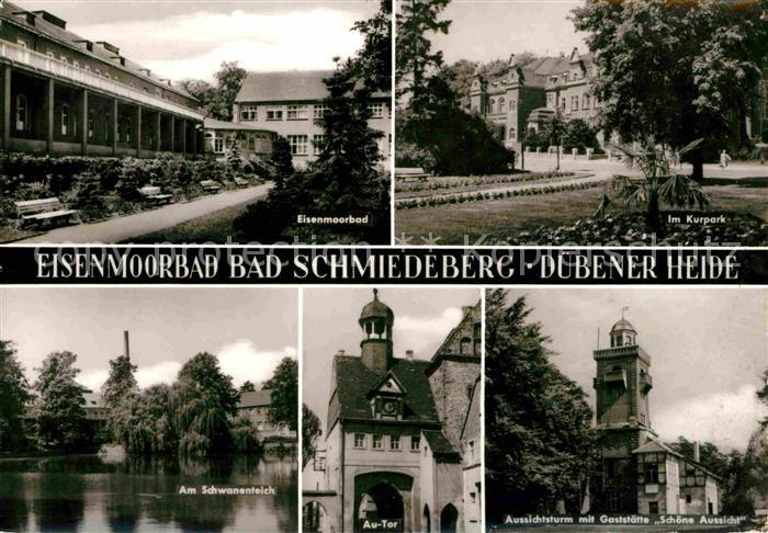 Ak Ansichtskarte Bad Schmiedeberg Eisenmoorbad Kurpark Schwanenteich