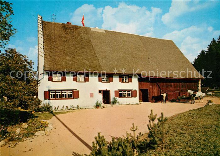 Ak Ansichtskarte Bad Duerrheim Pferdekoppel Haenslehof Restaurant Kat