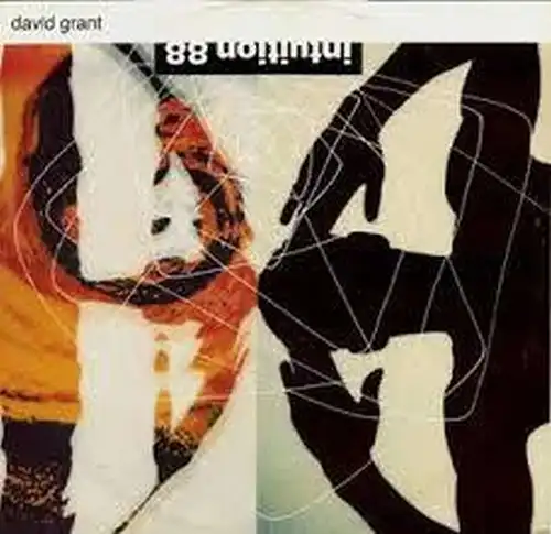 Grant, David - Intuition Sulphuric Beats Mix [12" Maxi]