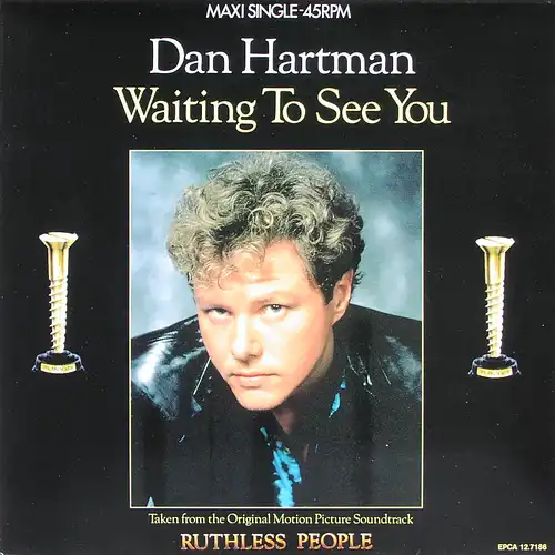 Hartman, Dan - Waiting To See You [12" Maxi]