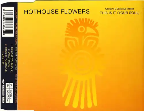 Hothouse Flowers - This Is It (Your Soul) [CD-Single]