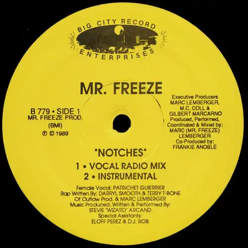 Mr. Freeze - Notches [12" Maxi]