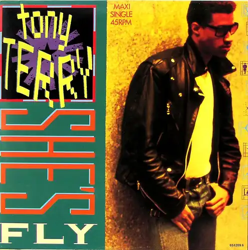 Terry, Tony - She&#039;s Fly [12&quot; Maxi]