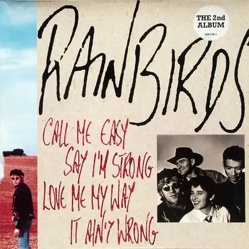 Rainbirds - Call Me Easy Say I&#039;m Strong Love Me My Way It Ain&#039;t Wrong [LP]