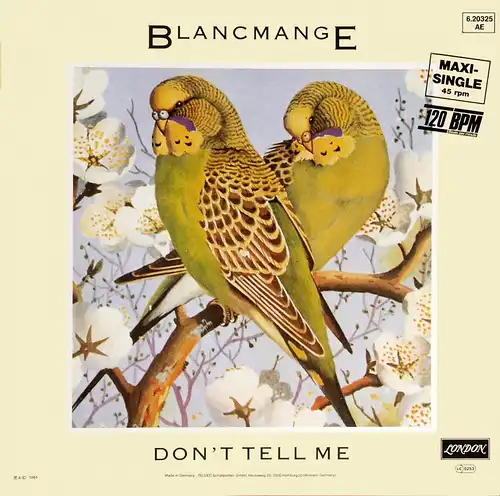 Blanchin - Don&#039;t Tell Me [12&quot; Maxi]