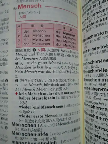 Sanshusha: Deutsch-Japanisches Wörterbuch