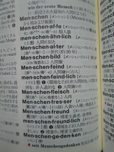 Sanshusha: Deutsch-Japanisches Wörterbuch