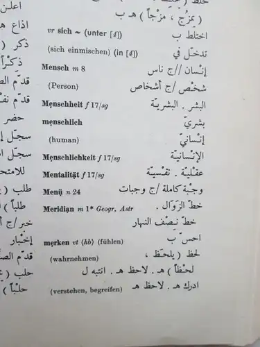 VEB Verlag Enzyklopädie: Wörterbücher Arabisch (1.) Arabisch-Deutsch + 2.) Deutsch-Arabisch)