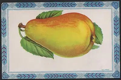 4 Etiketten für Konservendosen 1920er - Birnen / pears / poires - can labels