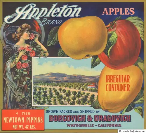 Etikett für Apfelkiste / Äpfel - ca. 1920 - Appleto Brand / Jugendstil -  # 661