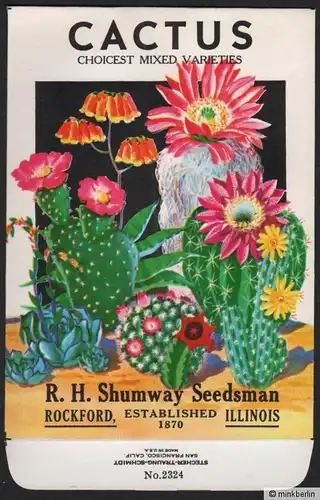 Samentütchen - Tüte für Samen - Kaktus - USA - ca. 1950 - # 106