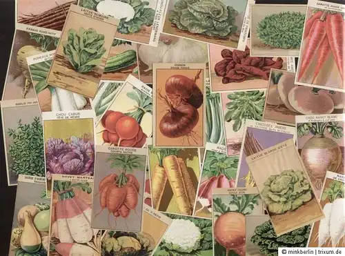 3 Etiketten Samen / Samentütchen - seed packet labels - Gemüse - ca. 1920 #133