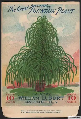 Samentütchen - Tüte für Samen - Decorative Fountain Plant - USA ~1915  # 486