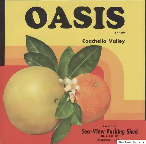 Etikett für Orangen / Orangenkiste von ca. 1950 - Oasis Brand  # 525