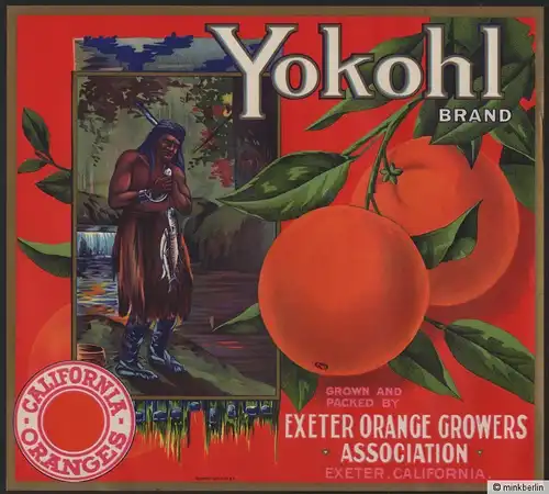 Etikett für Orangen / Orangenkiste von ca. 1920 - Yokohl Brand / Indianer # 523