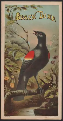 Etikett für Tabak - tobacco label - Black Bird - Chromolithografie von 1886 # 64