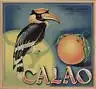 Etikett für Orangen Kiste - Vogel 3 - Spanien 1940