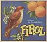 Etikett für Orangen Kiste - Vogel 2 - Spanien 1961