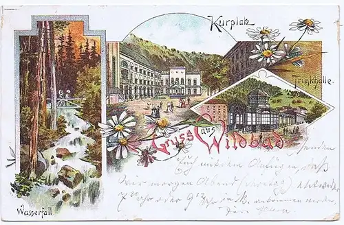 Litho,Gruß aus Wildbad,gel.1897