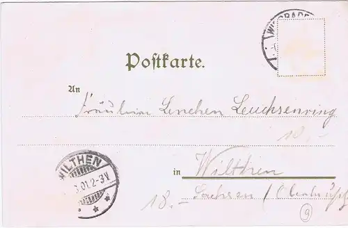 Litho,Gruß aus Wiesbaden,gel.1901