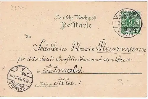 Litho,Gruß aus Bad-Oyenhausen,gel.1899