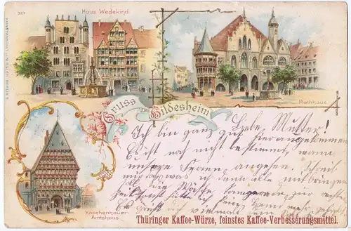 Litho,Gruß aus Hildesheim,gel.1900