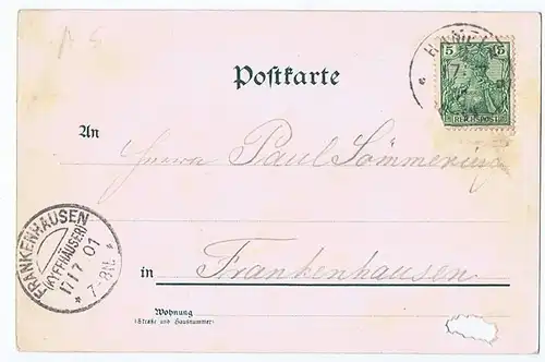 Litho,Gruß aus Hameln 1901