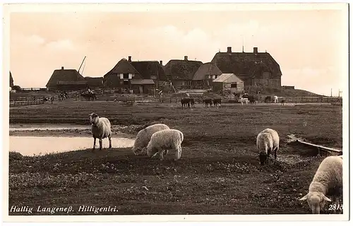 HalligLangeneß ungel .vor 45