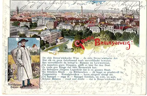  Litho Gruß aus Braunschweig gel.1901