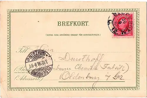 Alte Ansichtskarte Litho Schweden gel.1898