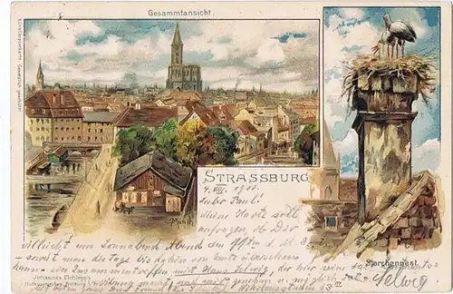 alte Ansichtskarte Gruss aus Stessburg gel.1900