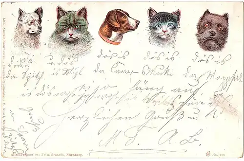Alte Ansichtskarte Tiermotive gel.1898