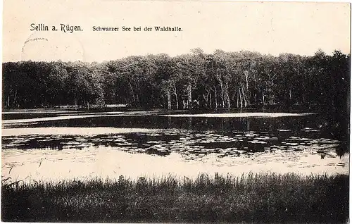 alte Ansichtskarte Binz auf Rügen gel.1909