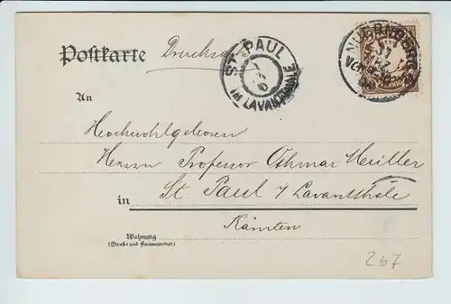AK Nürnberg Tiergärtnertor gel. 1904