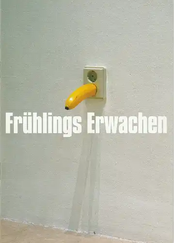 Münchner Volkstheater, Christian Stückl, Volker Bürger, Frederik Mayet, Arno Declair: Programmheft Frühlings Erwachen von Frank Wedekind. Premiere 20. Mai 2006 Spielzeit 2005 / 2006 Heft 4. 