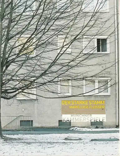 Münchner Kammerspiele, Frank Baumbauer, Marion Tiedtke, Fenja Spiess: Programmheft Marieluise Fleisser DER STARKE STAMM Premiere 22. Januar 2002 Spielzeit 2001 / 2002. 