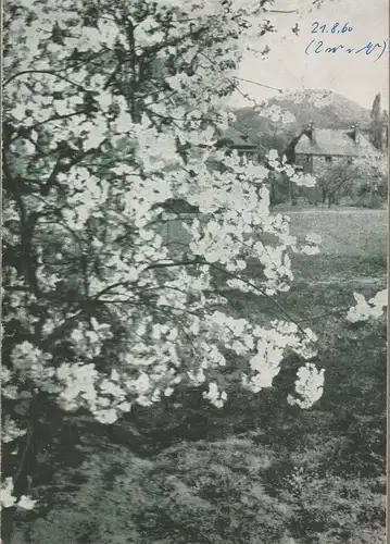 Stadttheater Zittau, Intendanz, Hubertus Methe, Johanna Fritzsche: Programmheft Carl Zeller DER VOGELHÄNDLER Spielzeit 1958 / 59. 