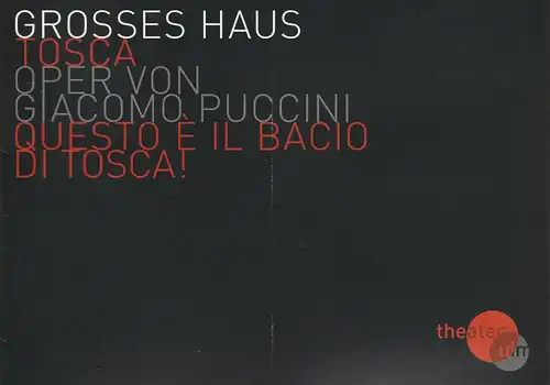 Theater Ulm, Andreas von Studnitz, Benjamin Künzel, Carola Hölting (Fotos): Programmheft Giacomo Puccini TOSCA Premiere 18. Dezember 2008 Grosses Haus Spielzeit 2008 / 2009. 