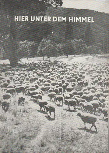 Bühnen der Stadt Nordhausen, Bodo Witte, Joachim Herz: Programmheft Mona Brand HIER UNTER DEM HIMMEL Premiere 19. August 1964 Spielzeit 1964 / 65 Heft 1. 