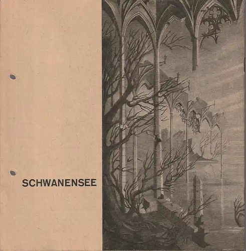 Württembergische Staatstheater Stuttgart, Hellmuth Karasek, Hanns Rückle, Eberhart Uebe, Gerd Richter: Programmheft Peter Tschaikowsky SCHWANENSEE   11. November 1965 Großes Haus. 