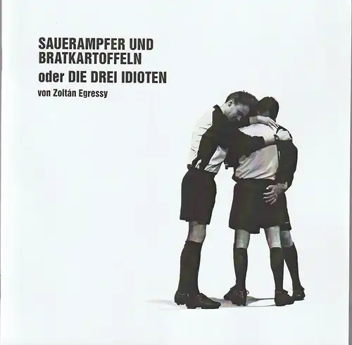 Theater tri-bühne Stuttgart, Stefan Kirchknopf, Lena Fritschle, Klaus H. Pfeiffer: Programmheft Zoltan Egressy SAUERAMPFER UND BRATKARTOFFELN Premiere 17. Juli 2009 Spielzeit 2008 / 2009. 