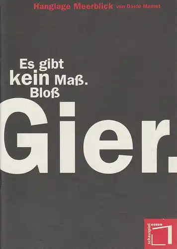 Theater und Philharmonie Essen, Schauspiel Essen, Jürgen Bosse, Susanne Abbrederis, Matthias Jung ( Fotos ): Programmheft David Mamet HANGLAGE MEERBLICK Premiere 15. September 1996 Spielzeit 1996 / 97. 