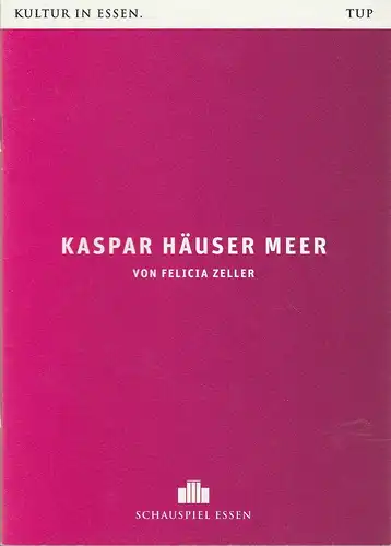 Theater und Philharmonie Essen, Schauspiel Essen, Berger Bergmann, Christian Tombeil, Judith Heese, Jan Frerichs, Diana Küster ( Probenfotos ): Programmheft Felicia Zeller KASPAR HÄUSER MEER.. 