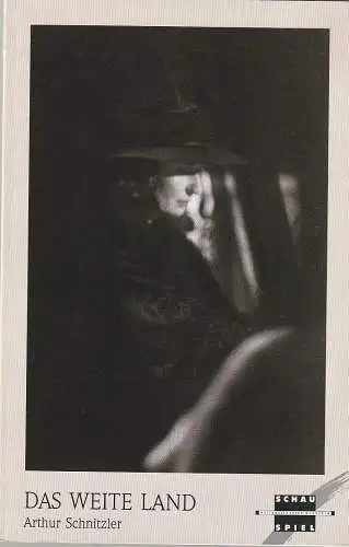 Nationaltheater Mannheim, Arnold Petersen, Juliane Votteler, Barbara Fritzen: Programmheft Arthur Schnitzler DAS WEITE LAND Premiere 21. Dezember 1990 Spielzeit 1990 / 91 NR. 6 (18). 