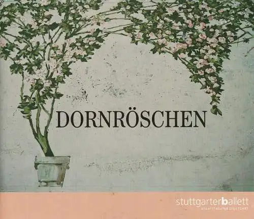 Stuttgarter Ballett, Staatstheater Stuttgart, Ballettdirektion, Rainer Woihsyk: Programmheft DORNRÖSCHEN Ballett 29. Oktober 2000 (18). 
