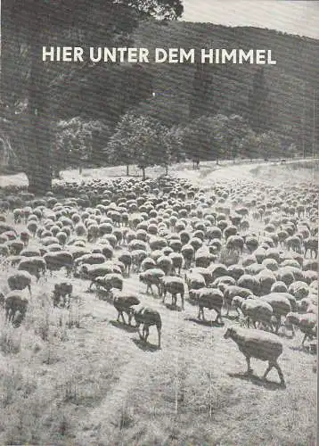 Bühnen der Stadt Nordhausen, Bodo Witte, Joachim Herz: Programmheft Mona Brand HIER UNTER DEM HIMMEL Premiere 19. August 1964 Spielzeit 1964 / 65 Heft 1 (18). 