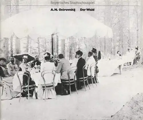 Bayerisches Staatsschauspiel, Kurt Meisel, Jörg-Dieter Haas, Claus Seitz: Programmheft Alexander N. Ostrowskij DER WALD Premiere 21. November 1981 (18). 