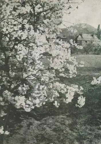 Stadttheater Zittau, Hubertus Methe, Johanna Fritzsche: Programmheft DER VOGELHÄNDLER. Operette von Carl Zeller. Spielzeit 1958 / 59 (18). 