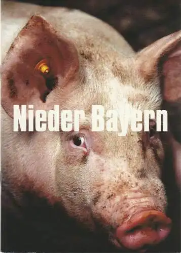 Münchner Volkstheater, Christian Stückl, Volker Bürger, Gwendolyn Sebald, Daniele Goldmann: Programmheft NIEDER BAYERN Premiere 3. Oktober 2003 Spielzeit 2003 / 04 Heft 1 (18). 